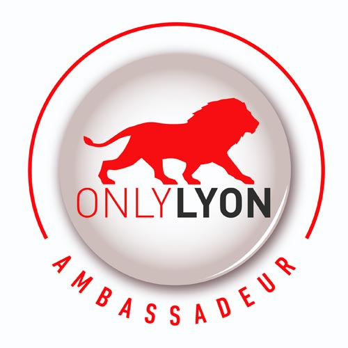 ONLY LYON Montgolfières et Cie Annonay Ardèche Montgolfière Voyage voler vol Rhône-Alpes