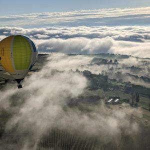 Porté par le vent